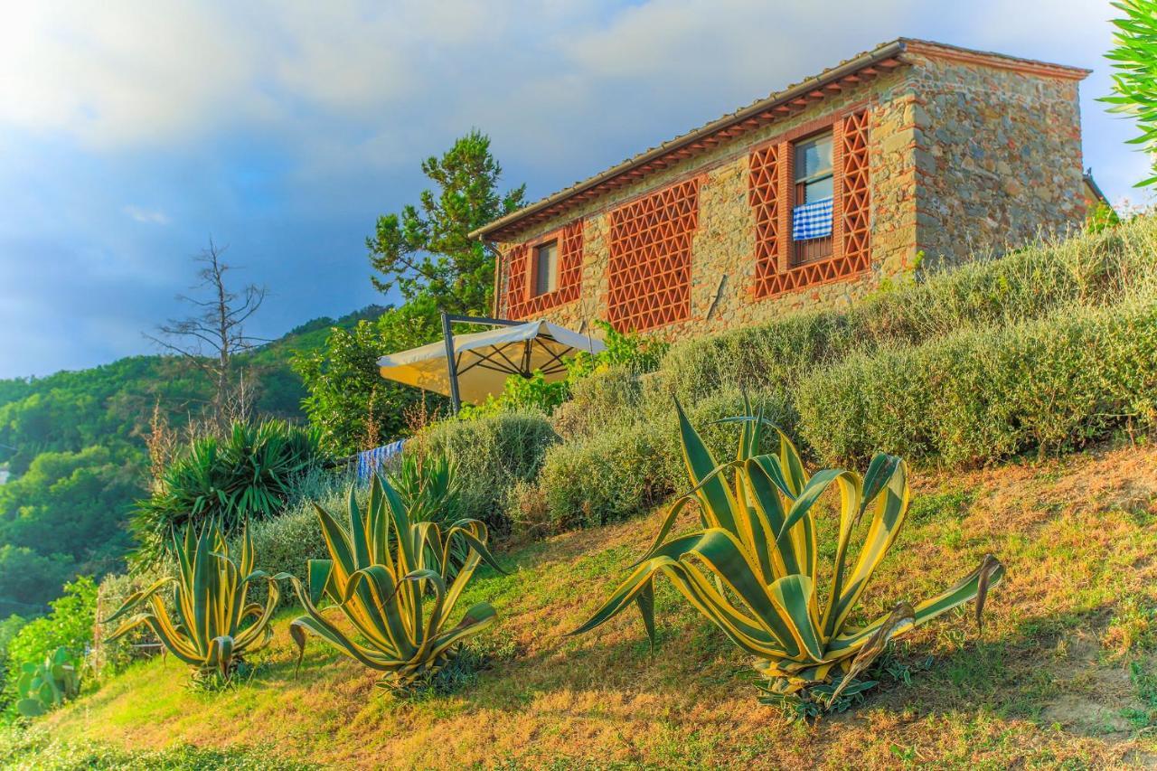 Tenuta San Pietro Luxury Hotel Лукка Экстерьер фото