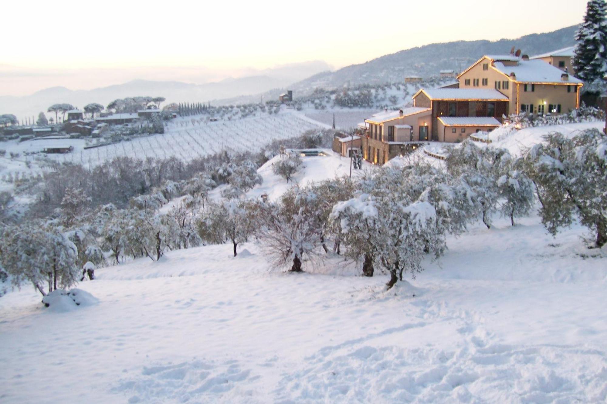 Tenuta San Pietro Luxury Hotel Лукка Экстерьер фото