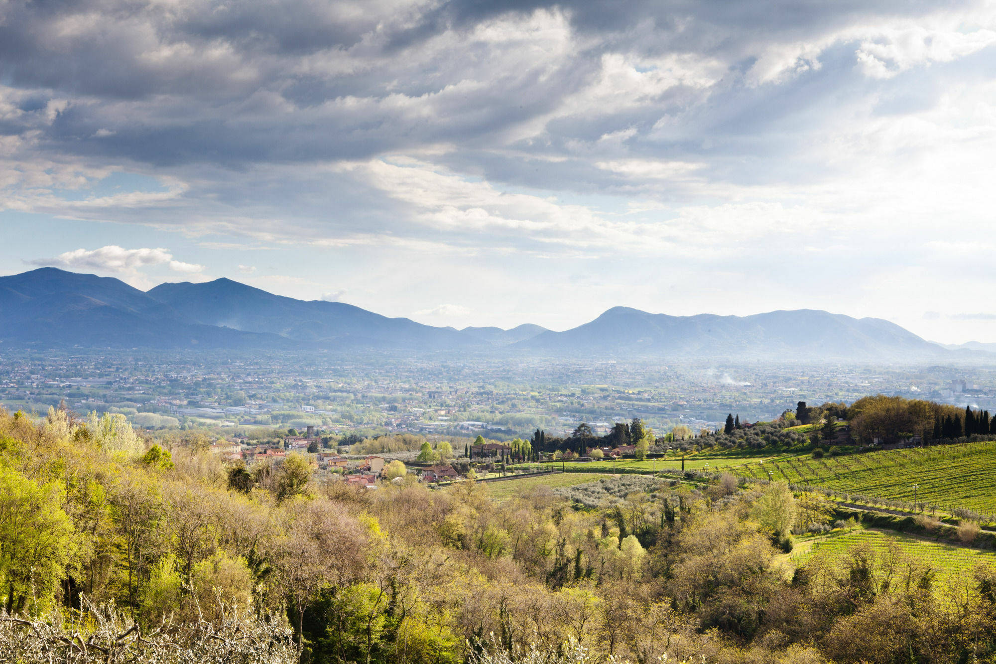 Tenuta San Pietro Luxury Hotel Лукка Экстерьер фото